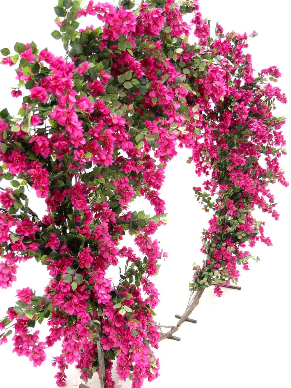 SN7319_Bougainvillea_Moon_Gate-(2)_event_prop_hire_optimised
