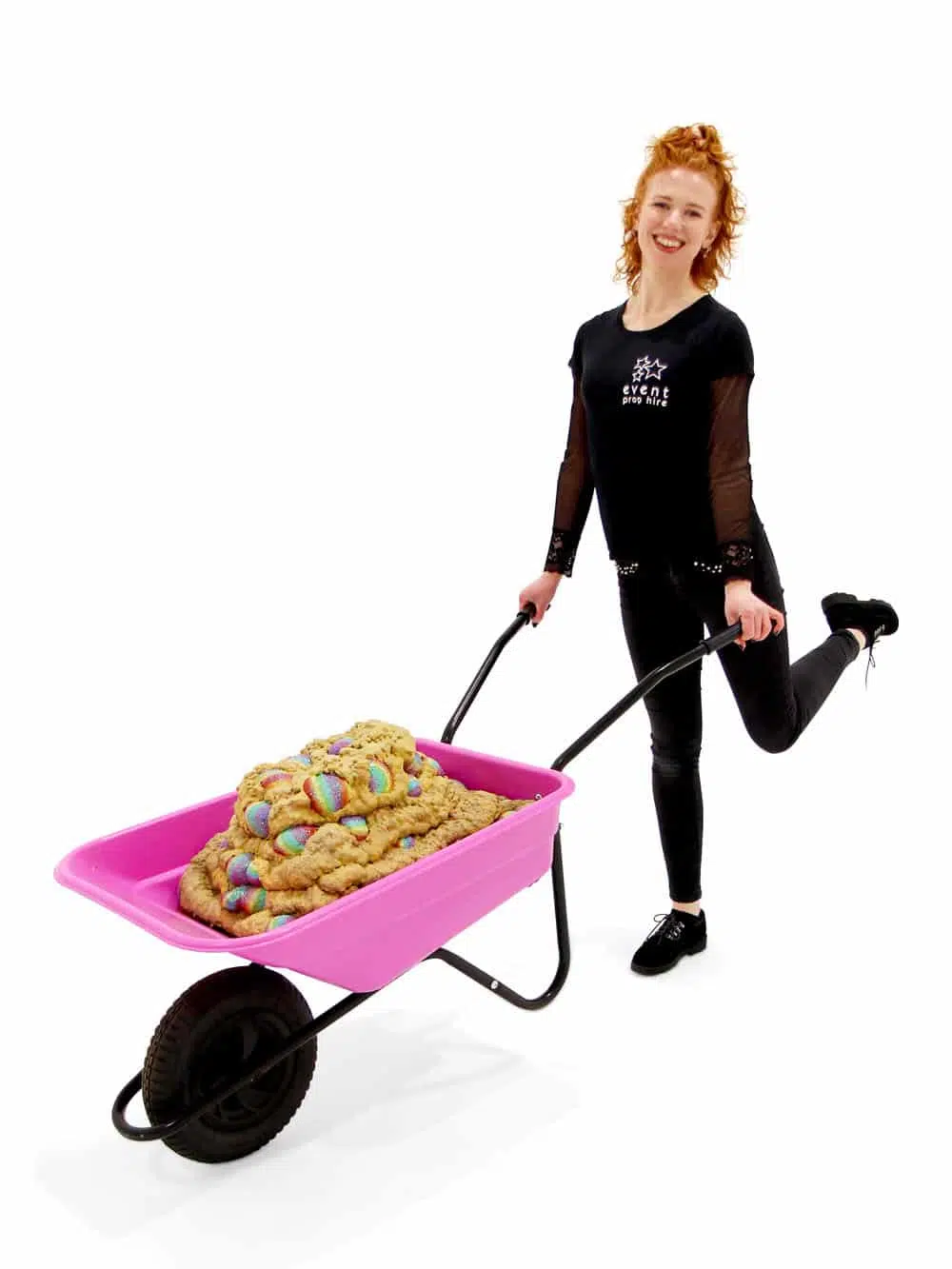 SN7340_Unicorn Muck Out Wheelbarrow_event_prop_hire_1009_optimised