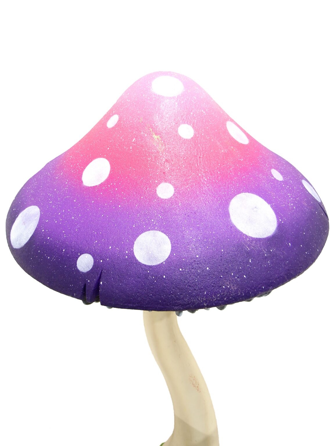 SN6076_Closed Cap Mushroom - Purple_Pink - Large_212_High Res