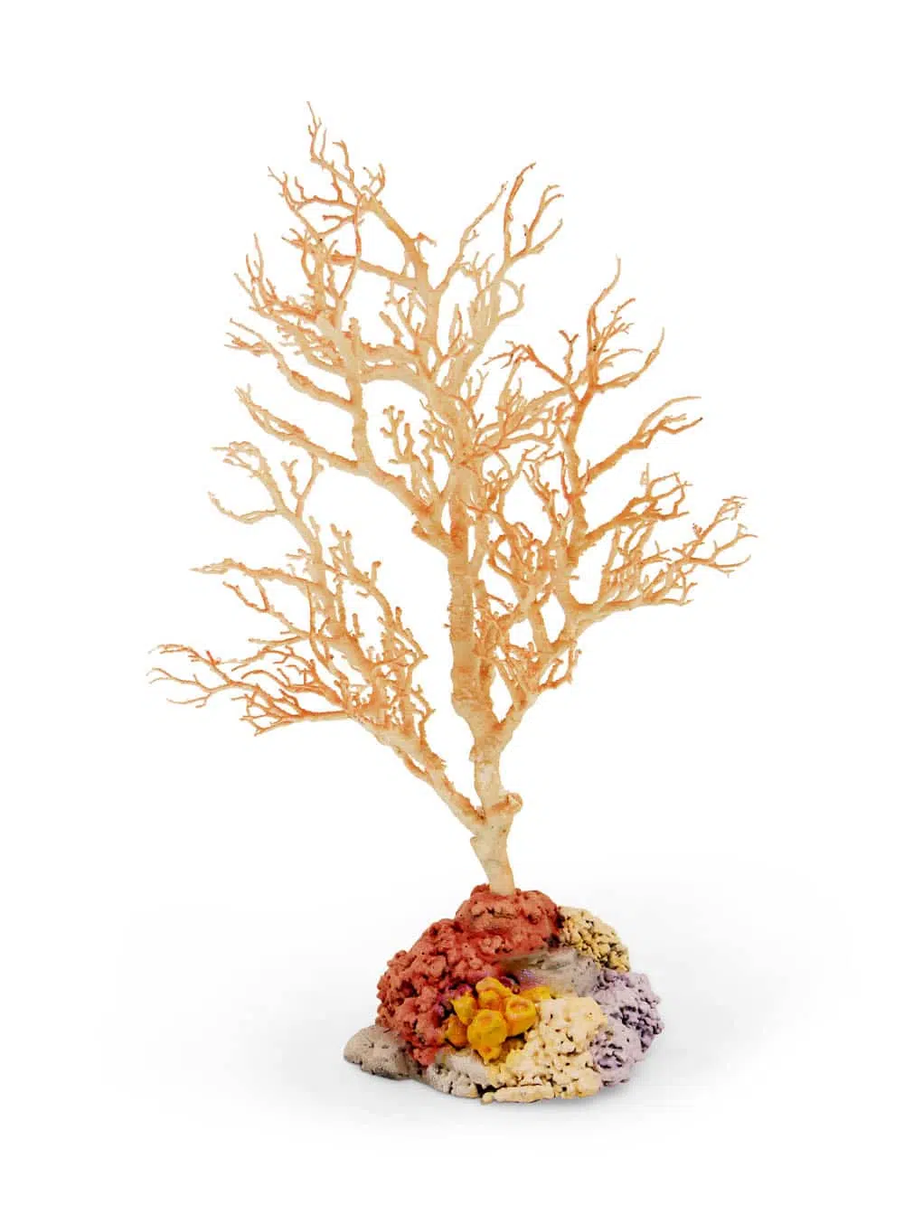 SN8138_Small Coral Piece_event_prop_hire1056