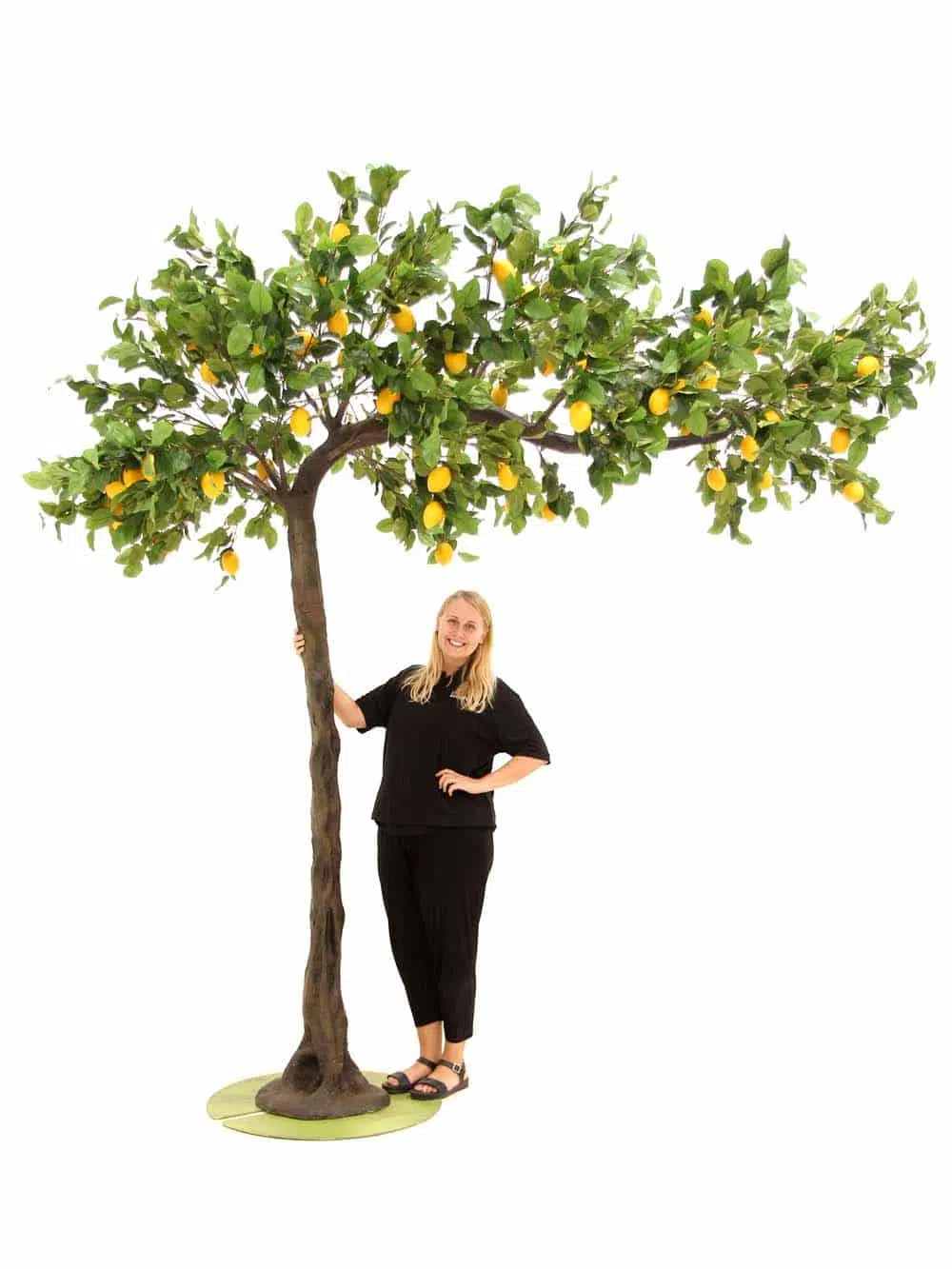 SN8445_Lemon Canopy Tree (3m)_event_prop_hire_EPH_Creative_80_optimised