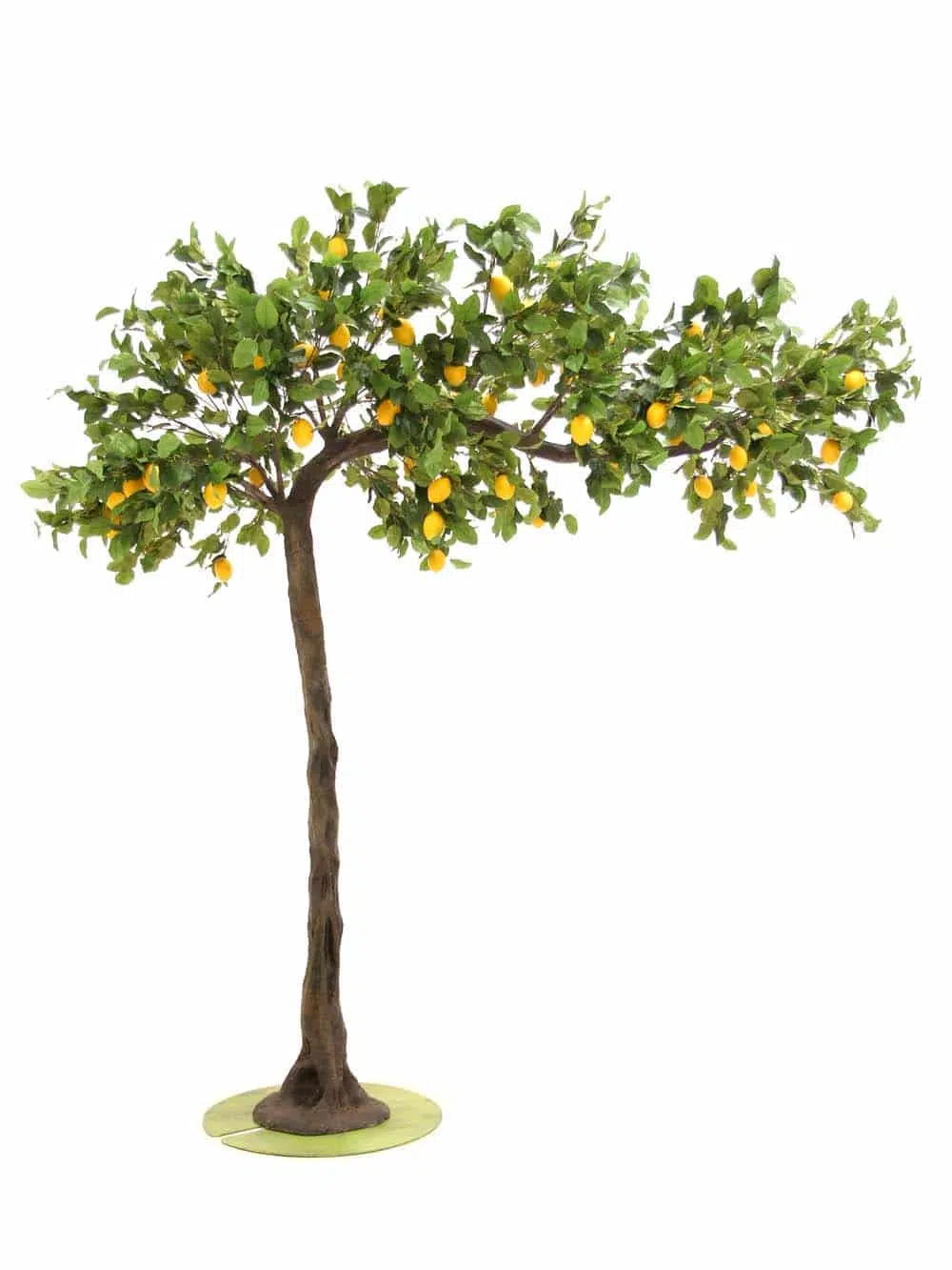 SN8445_Lemon Canopy Tree (3m)_event_prop_hire_EPH_Creative_81_optimised