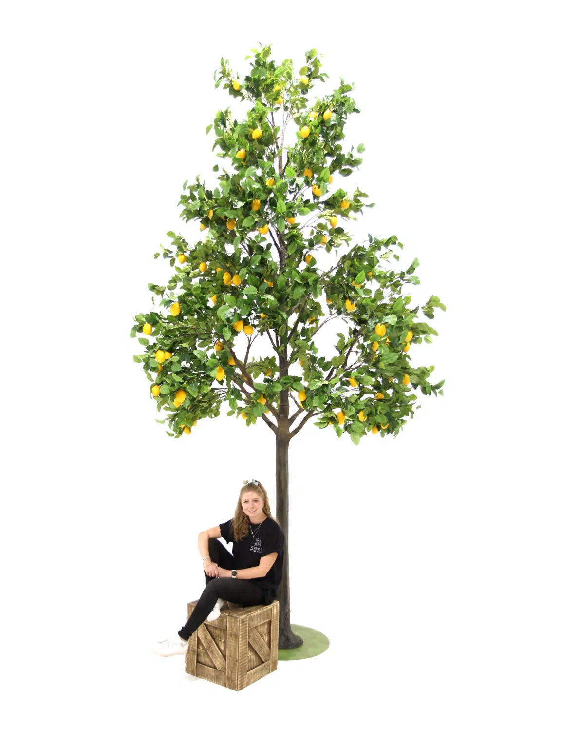 SN8454 Lemon - Giant Tree (5m)_eph_creative_event_prop_hire_0199 copy