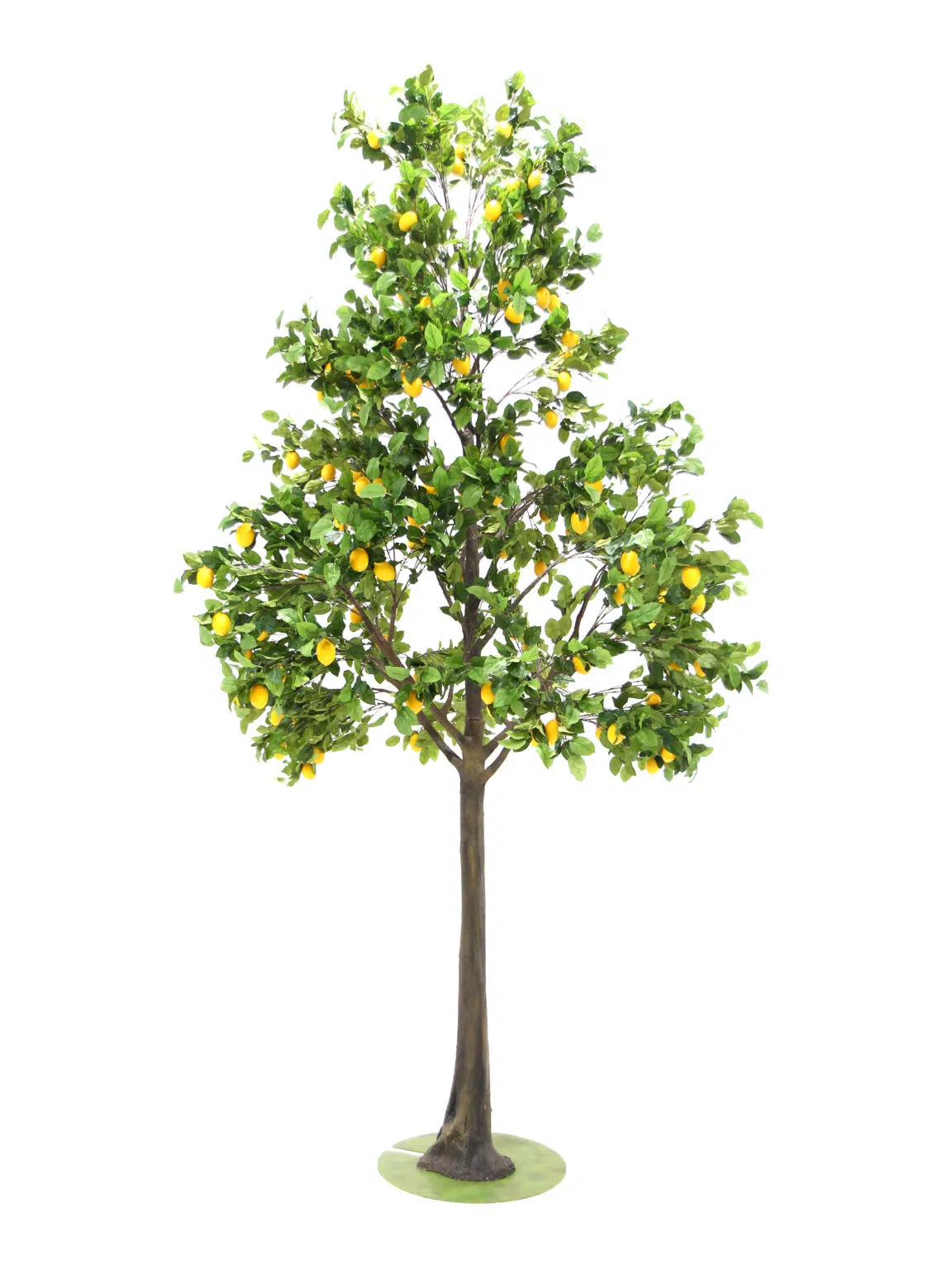 SN8454 Lemon - Giant Tree (5m)_eph_creative_event_prop_hire_3491 copy