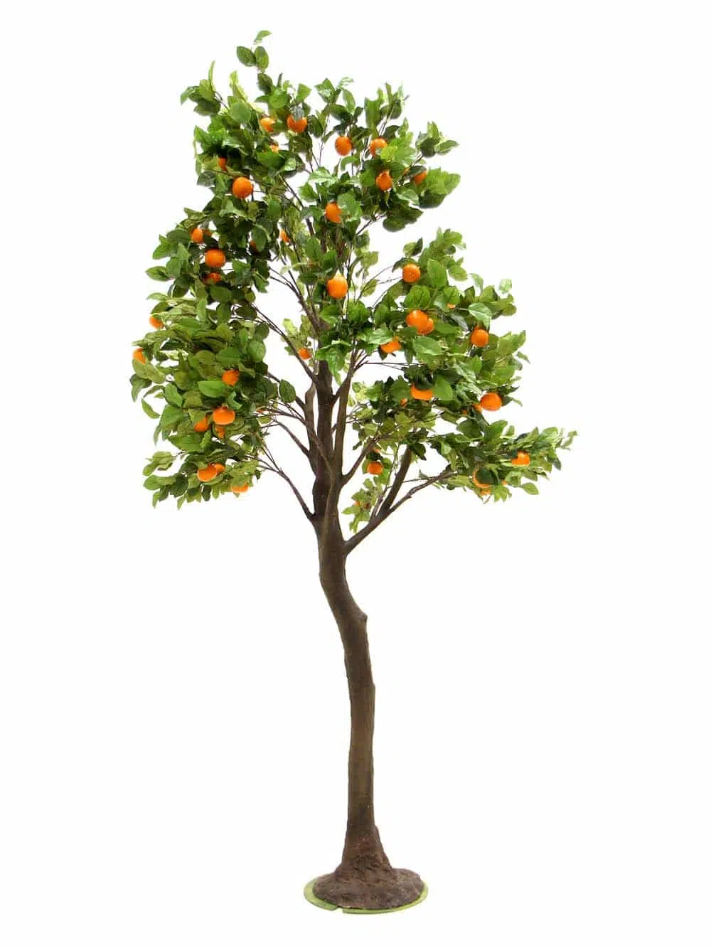 SN8461_Orange Tree Tall Trunk Tree _event_prop_hire_EPH_creative_548_optimised
