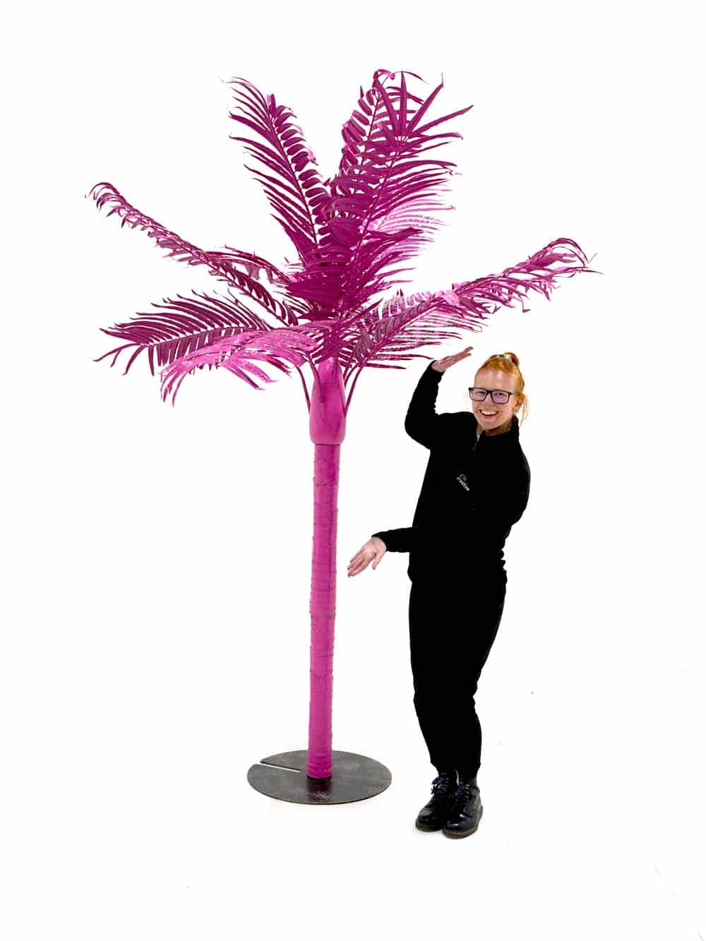 SN8576 _Medium Palm Tree (2. (2) _optimised