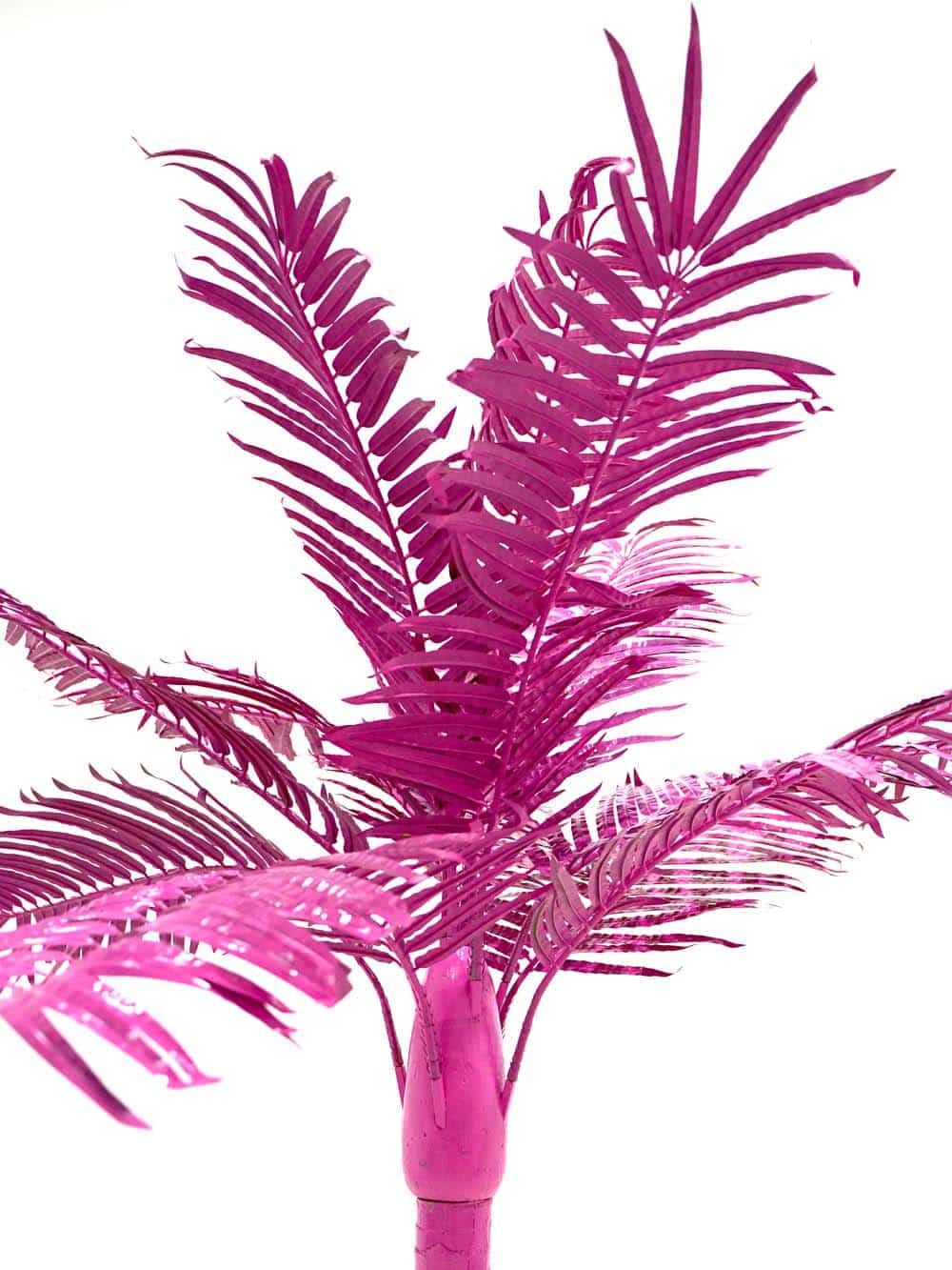 SN8576 _Medium Palm Tree (2. (3) _optimised