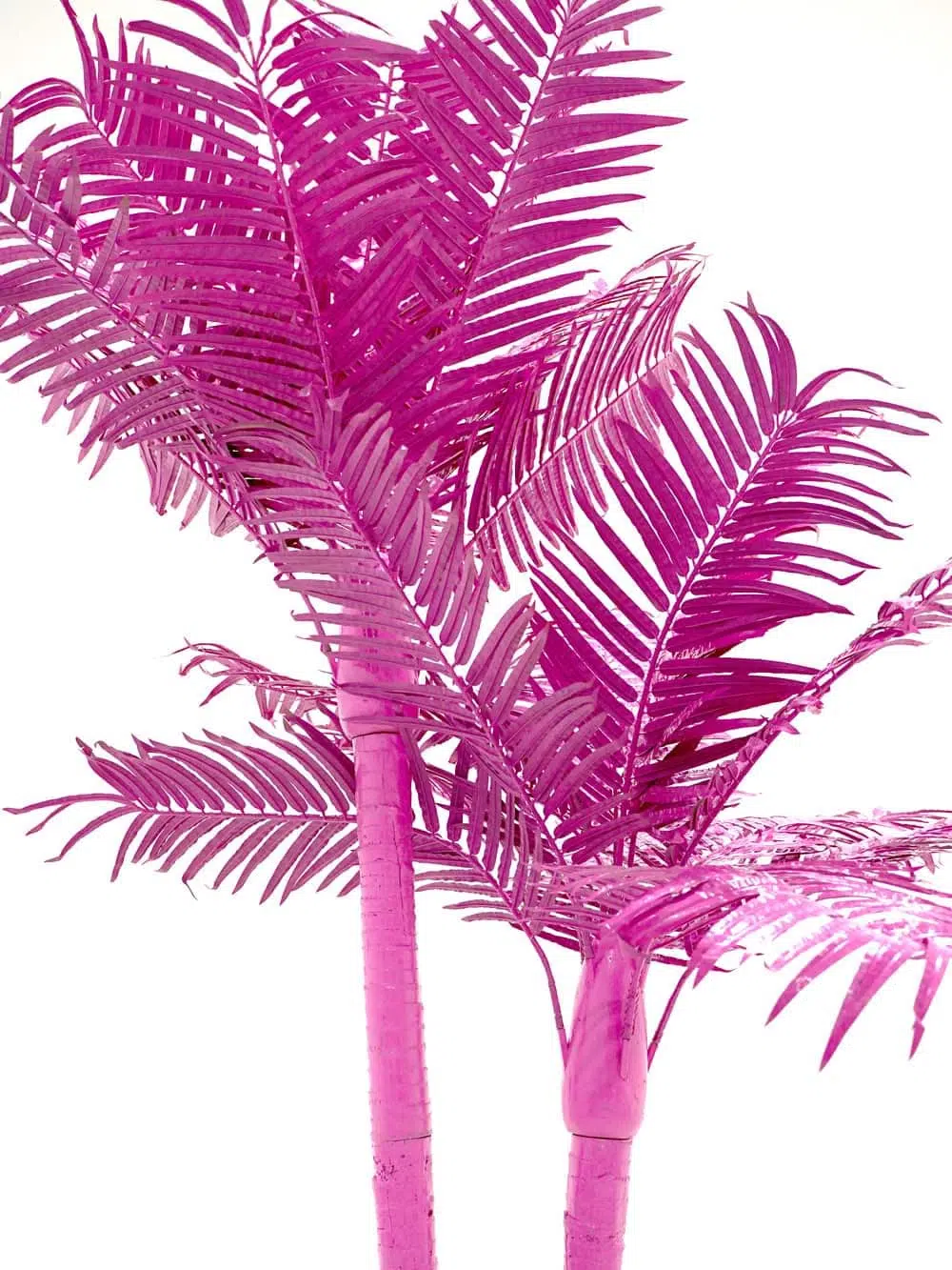 SN8578 _Tall Palm Tree (3.2m) - Double Headed - Pink_event_prop_hire_EPH_Creative_040 _optimised