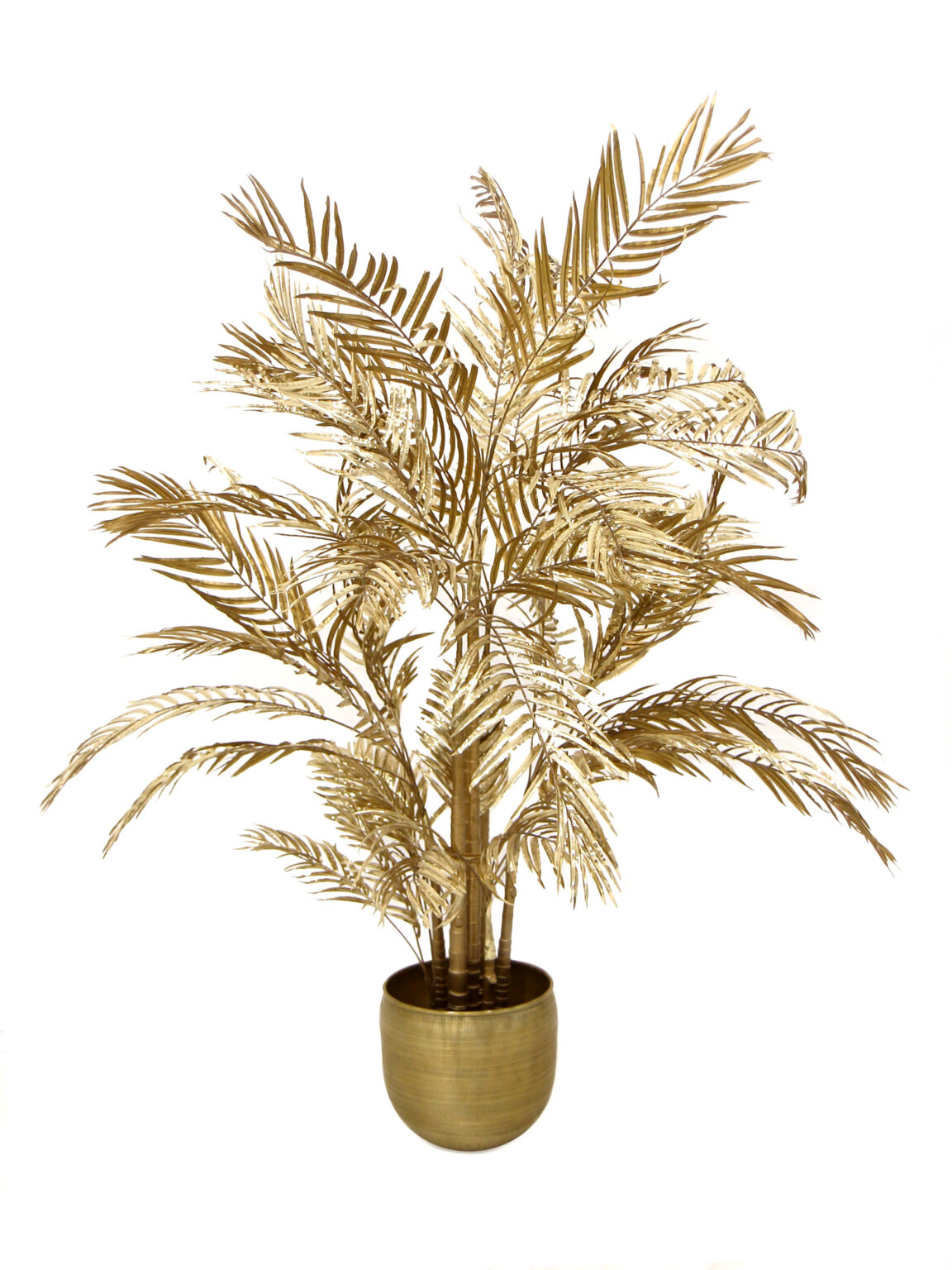 SN8620_Areca Palm Gold 200cm_40lvs_event_prop_hire_EPH_Creative_BB_010 copy