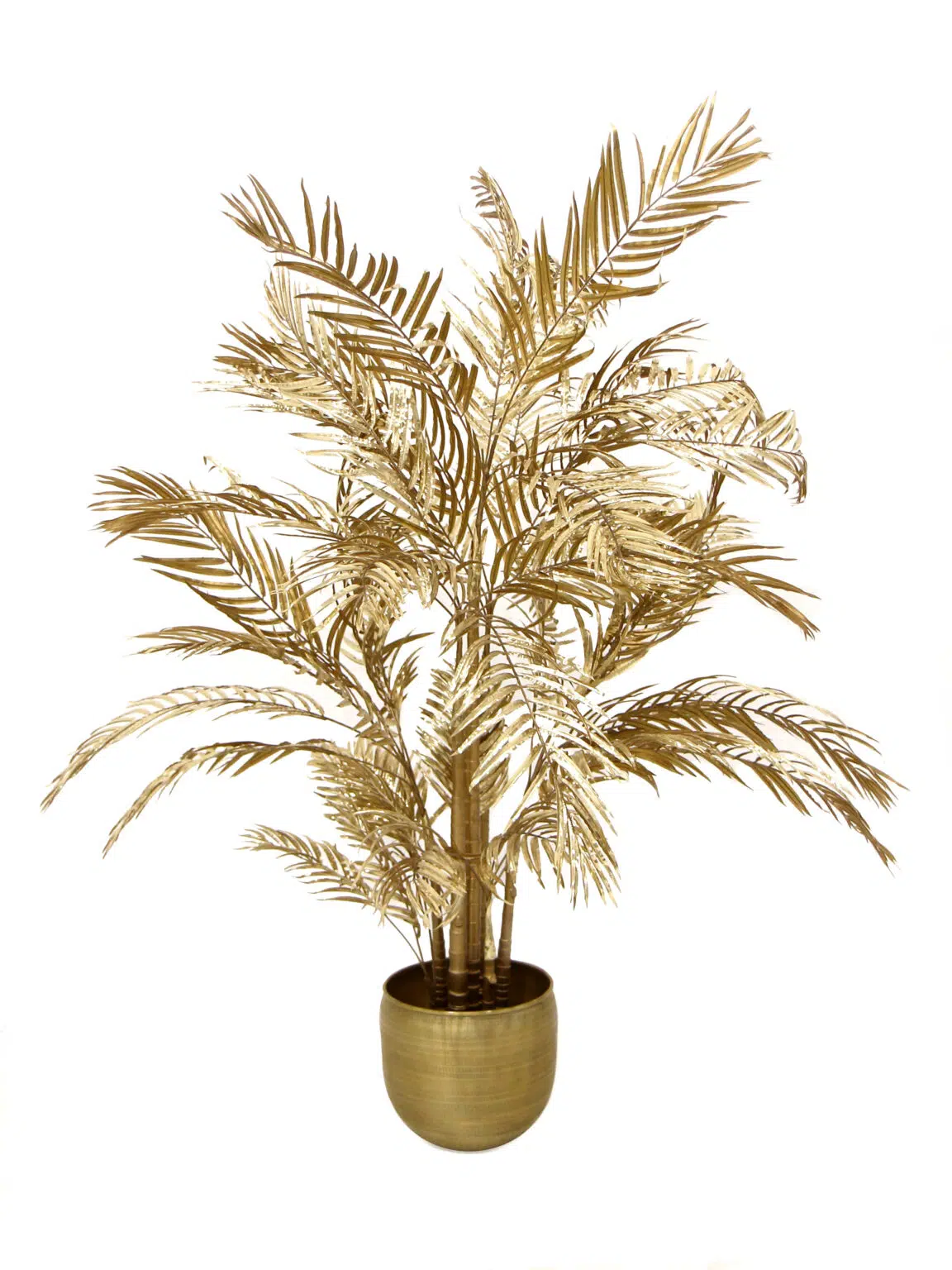 SN8620_Areca Palm Gold 200cm_40lvs_event_prop_hire_EPH_Creative_BB_010 copy
