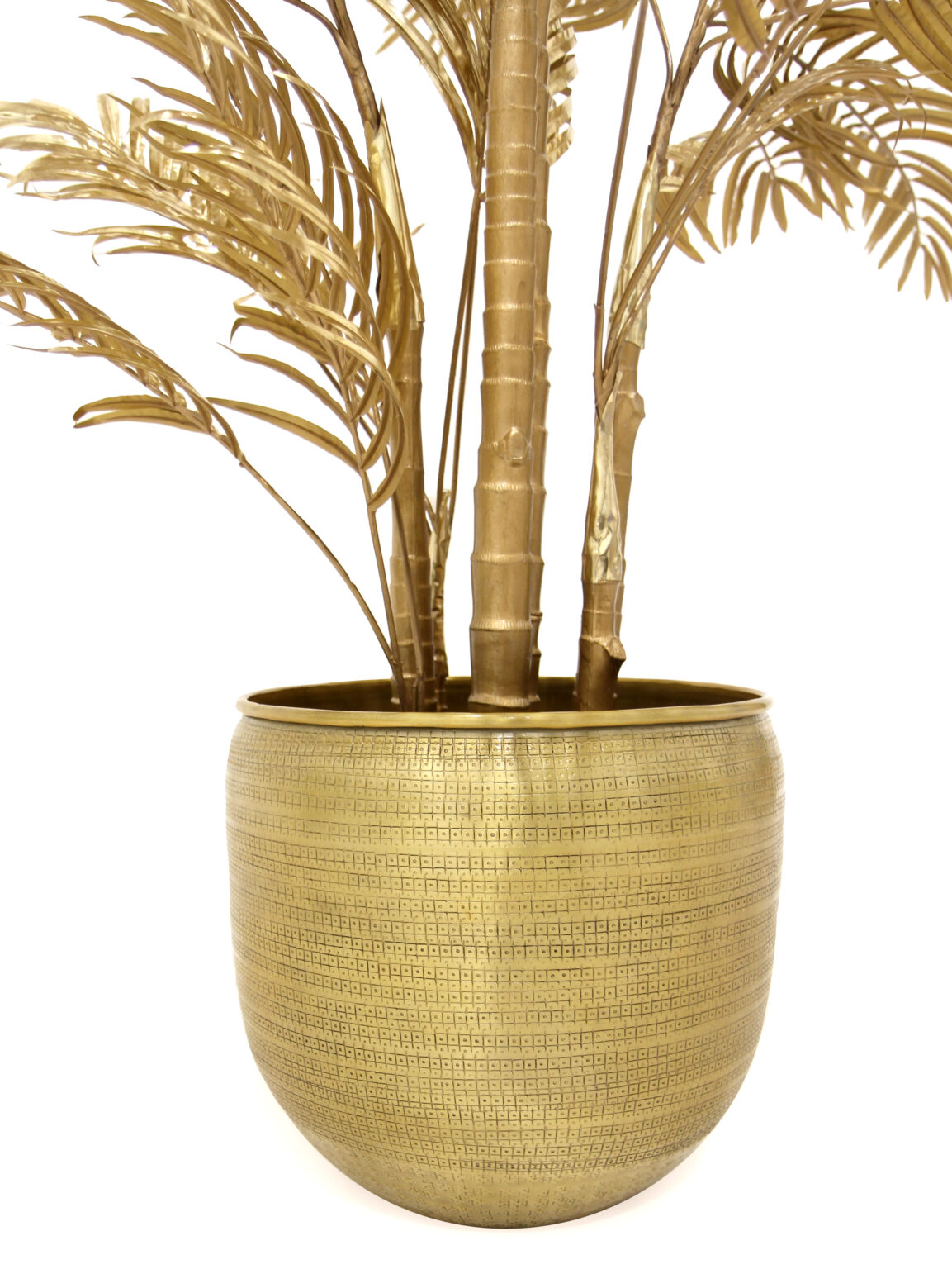 SN8620_Areca Palm Gold 200cm_40lvs_event_prop_hire_EPH_Creative_BB_012 copy
