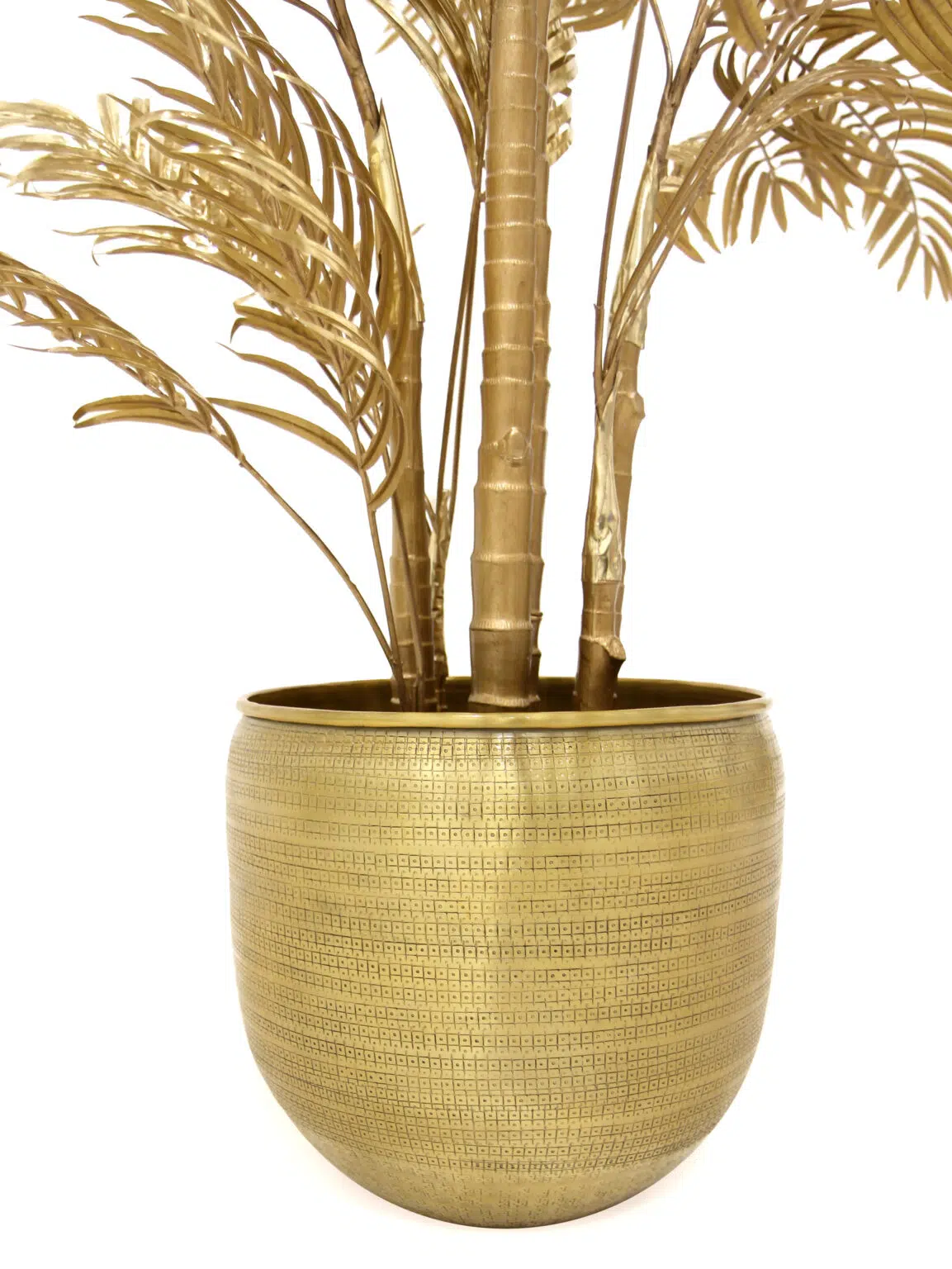 SN8620_Areca Palm Gold 200cm_40lvs_event_prop_hire_EPH_Creative_BB_012 copy