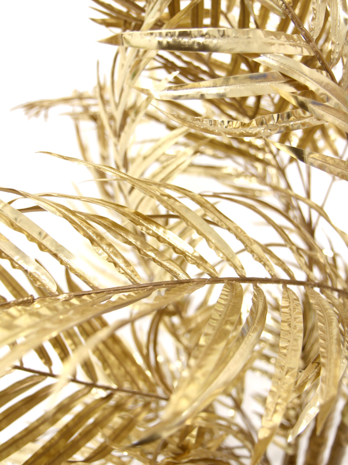 SN8620_Areca Palm Gold 200cm_40lvs_event_prop_hire_EPH_Creative_BB_014 copy