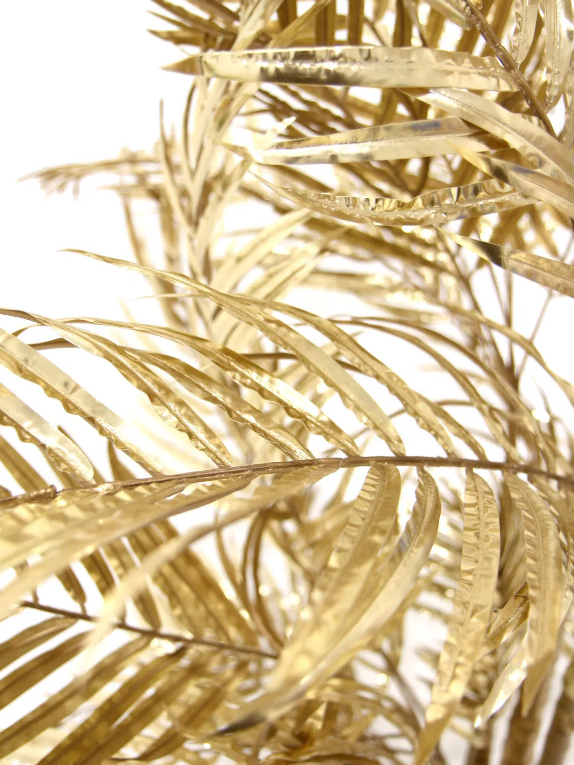 SN8620_Areca Palm Gold 200cm_40lvs_event_prop_hire_EPH_Creative_BB_014 copy