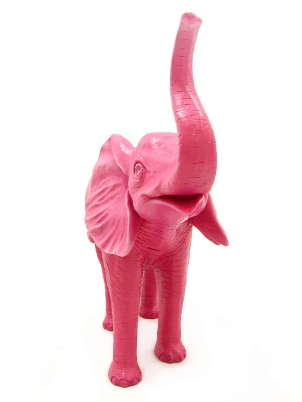 SN8653_Funky Elephant Pink_event_prop_hire_EPH_Creative_ (2)_optimised