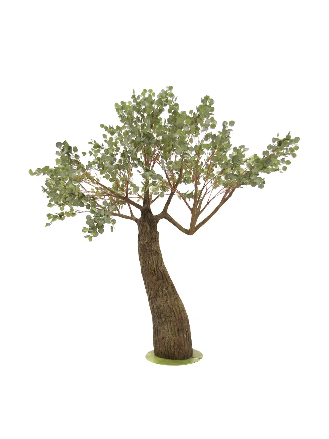 SN6983 _Eucalyptus Tree - Thick Trunk (2.9m)_event_prop_hire1029 copy