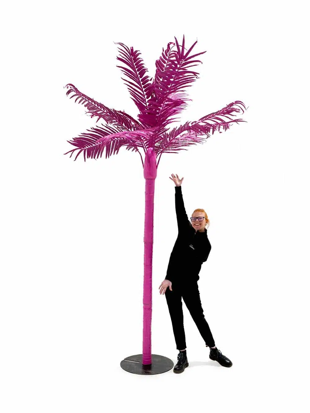 SN8577 _Tall Palm Tree (3. (2) _optimised