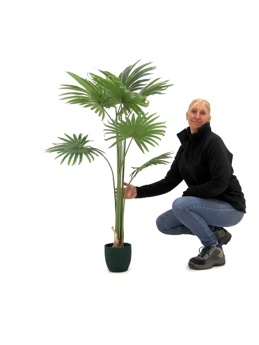 SN9108_Fan Palm Plant - 160cm_event_prop_hire_EPH_Creative_122_optimised