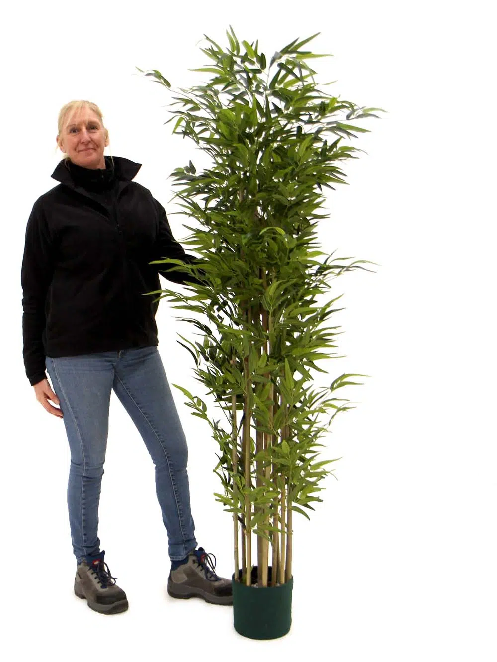 SN9111_Deluxe Bamboo Plant- 175cm_event_prop_hire_EPH_Creative_148_optimised