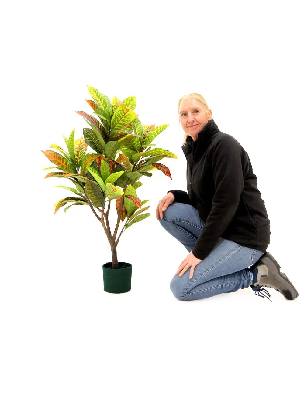 SN9136_Tropical Croton Plant - 95cm_event_prop_hire_EPH_Creative_233_optimised