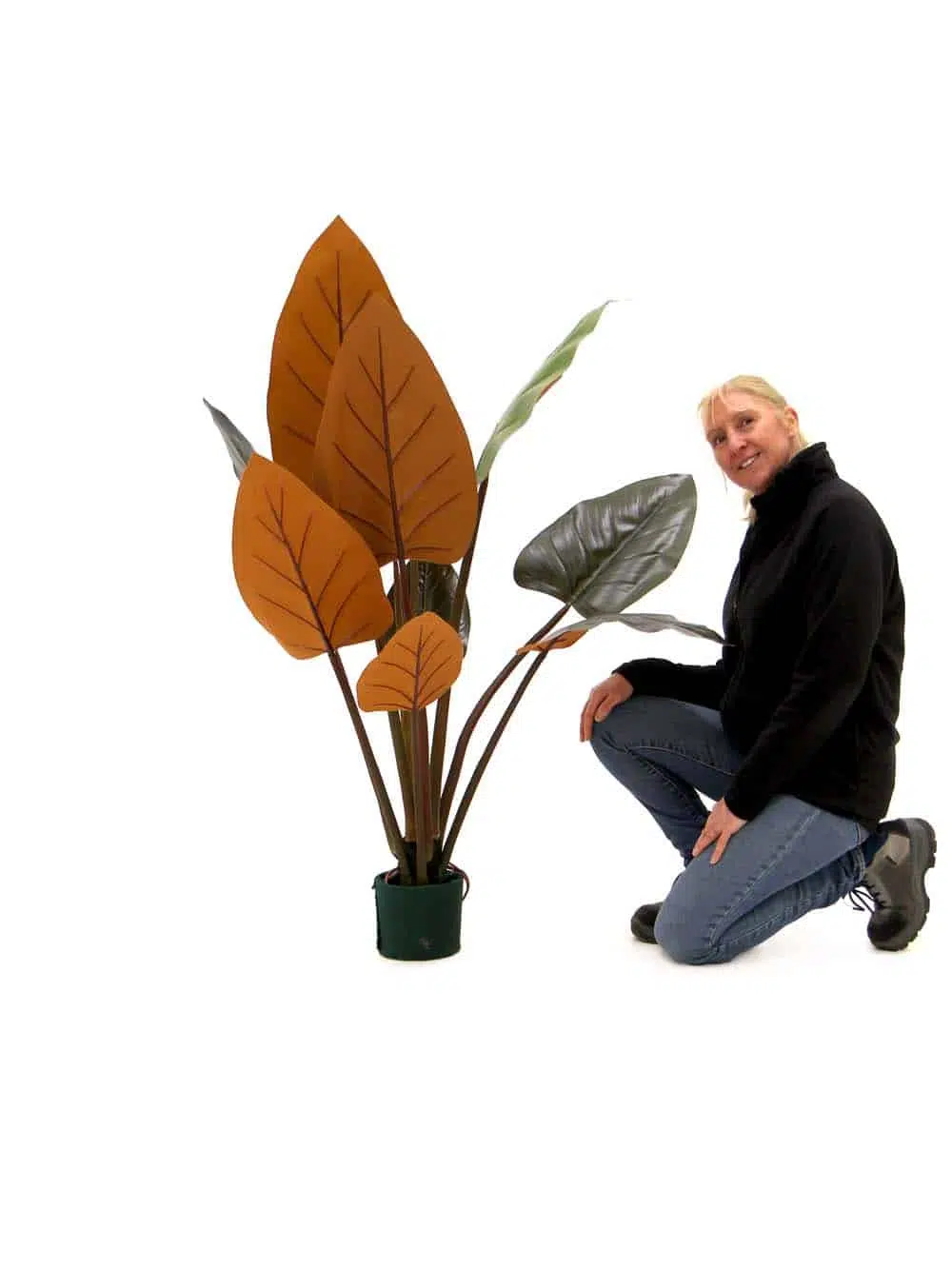 SN9139 _Tropical Green & Burggundy Large Leafed Plant_event_prop_hire_EPH_Creative_168_optimised