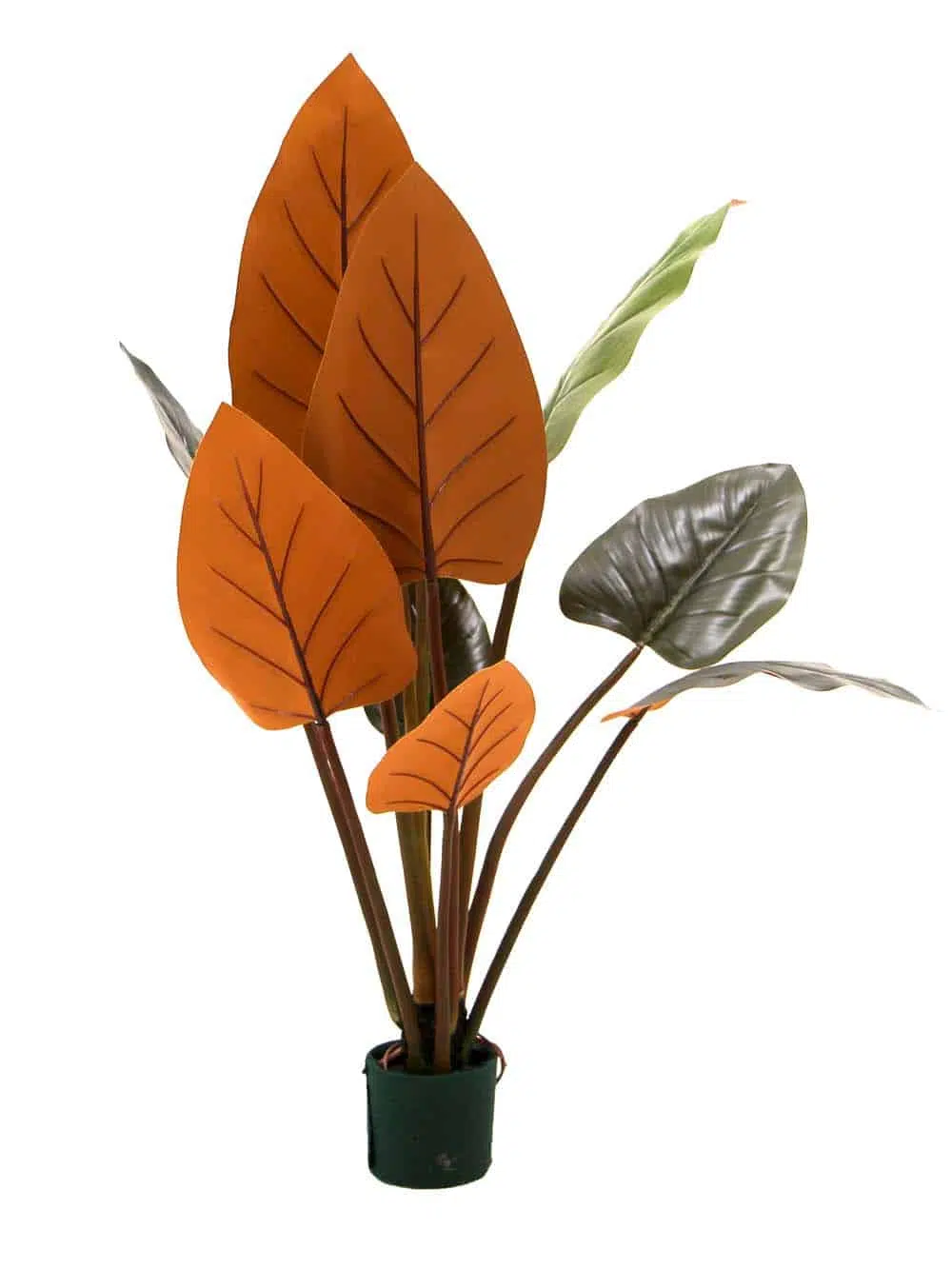 SN9139 _Tropical Green & Burggundy Large Leafed Plant_event_prop_hire_EPH_Creative_173_optimised