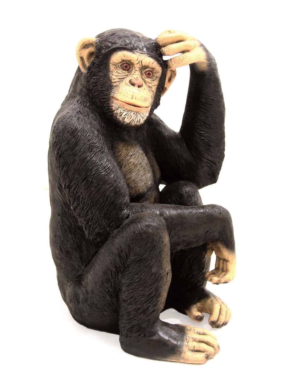 SN9113_Life-size Chimpanzee - sitting_event_prop_hire_EPH_Creative_058_optimised