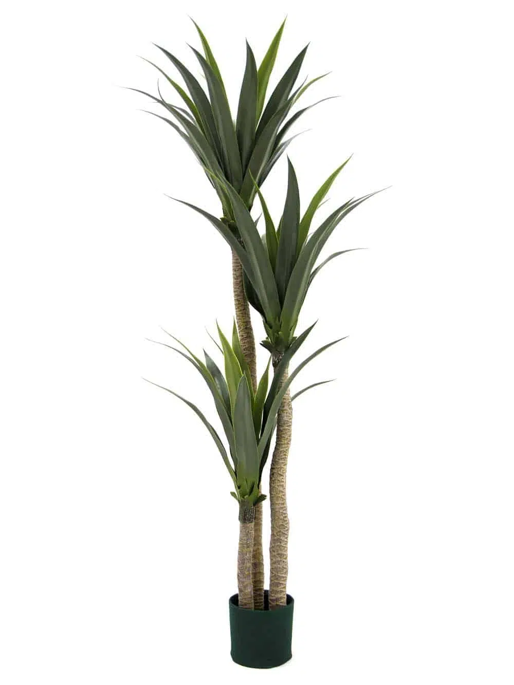 SN9252_Potted Yucca Tree (160cm)_event_prop_hire_EPH_Creative_ (3)_optimised