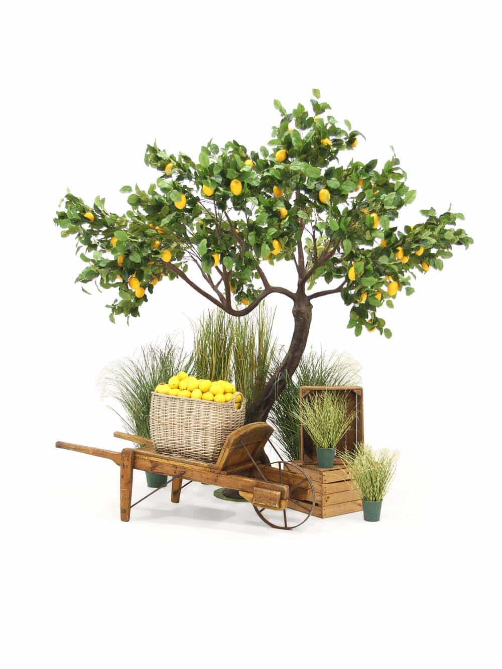 SN9559_Lemon Tree & Rustic Cart Montage_event_prop_hire_EPH_Creative_014_optimised