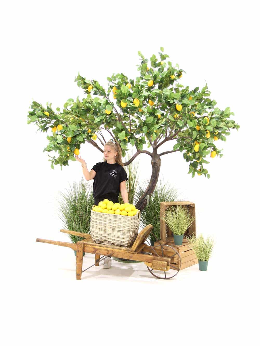 SN9559_Lemon Tree & Rustic Cart Montage_event_prop_hire_EPH_Creative_015_optimised
