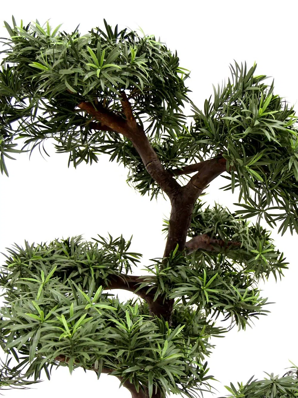 SN5636_Giant Bonsai Tree_event_prop_hire_EPH_Creative_053_optimised