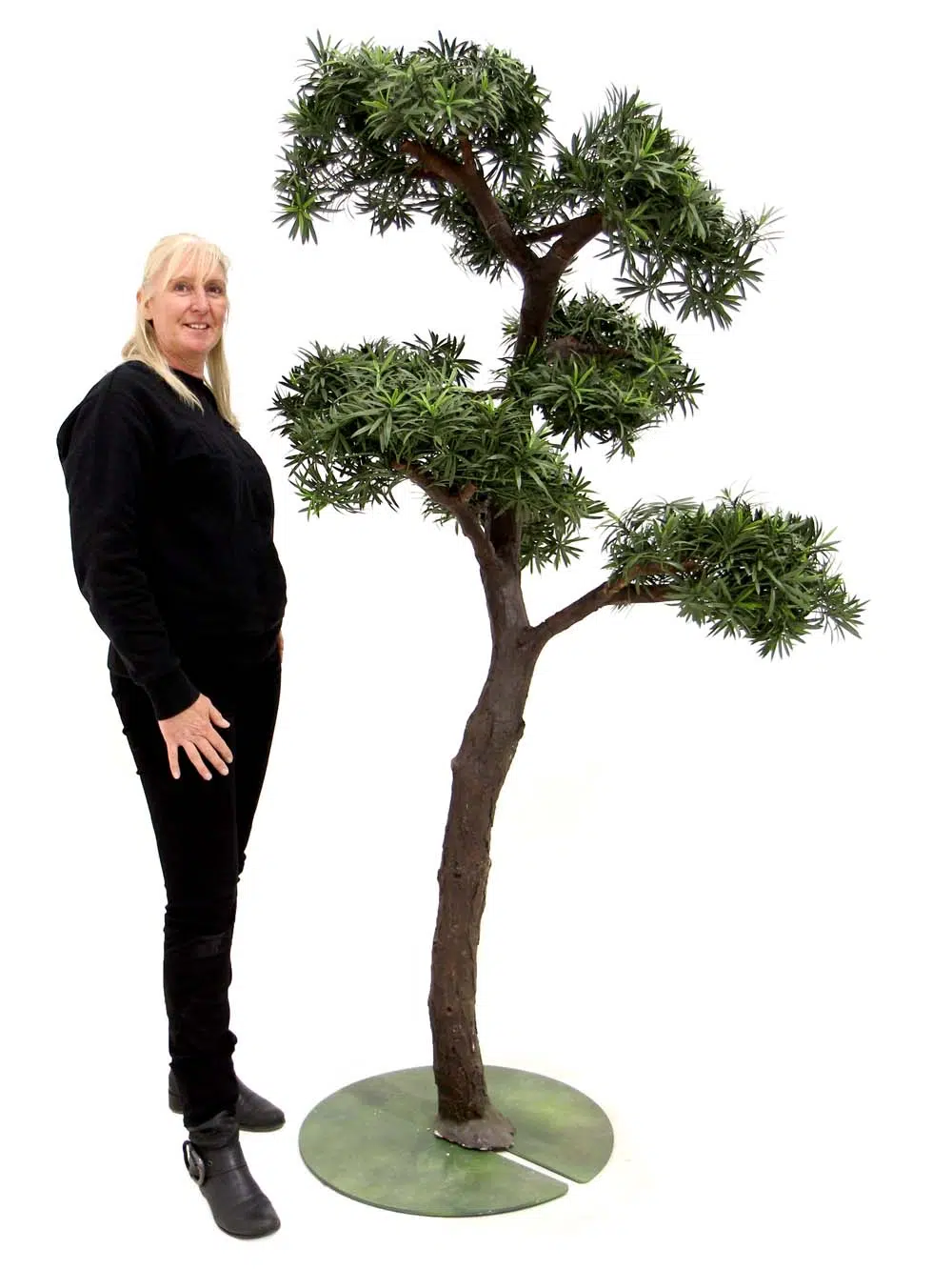 SN5636_Giant Bonsai Tree_event_prop_hire_EPH_Creative_058_optimised