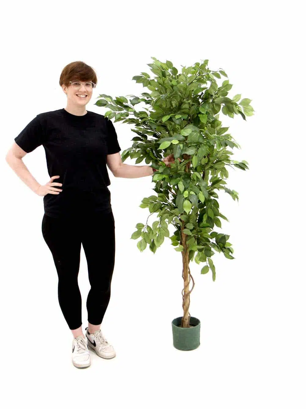 SN8842_Ficus Tree - 1.7m tall_event_prop_hire_EPH_Creative_866_optimised