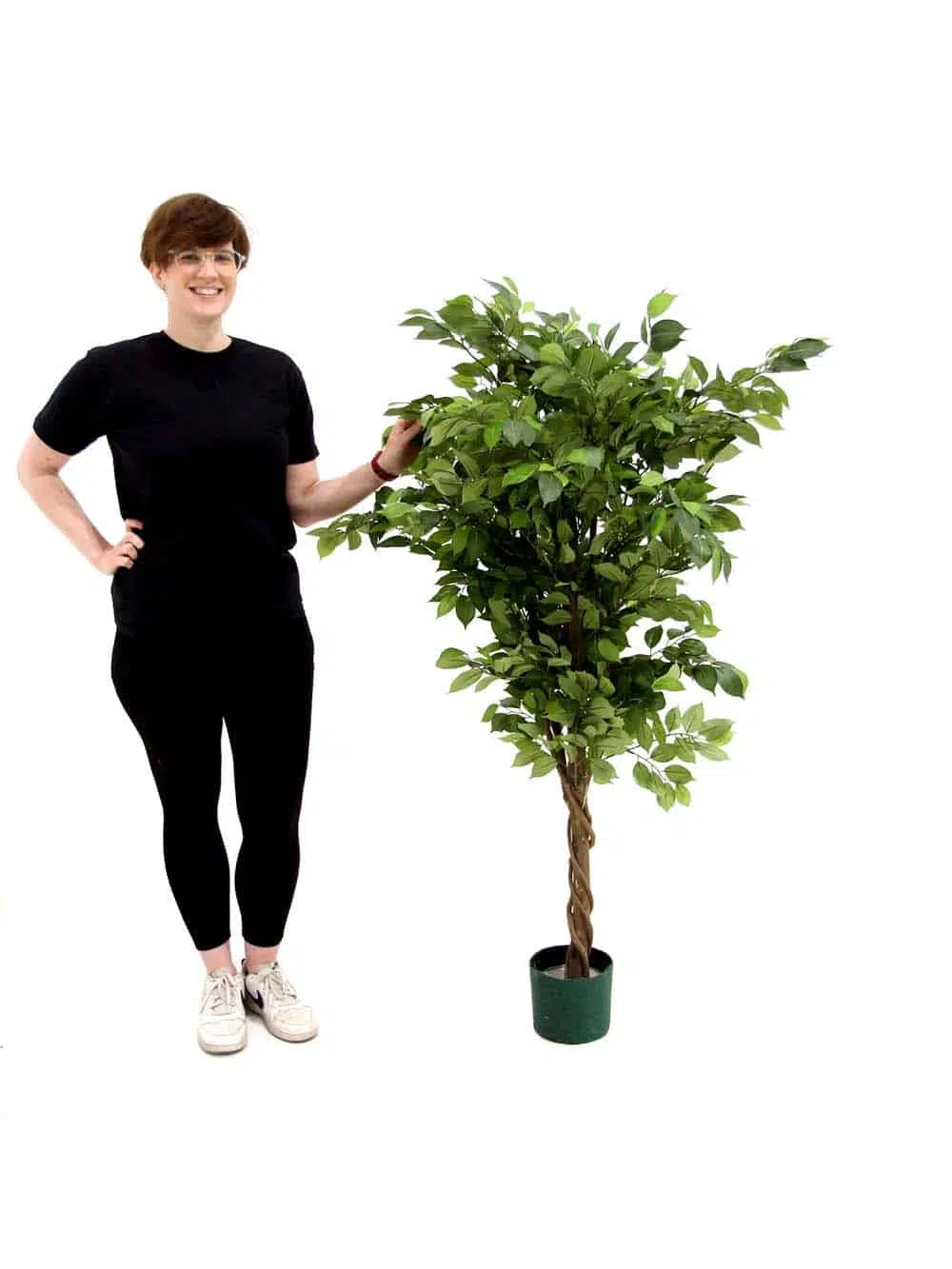 SN8843_Ficus Tree - 1.4m tall_event_prop_hire_EPH_Creative_856_optimised