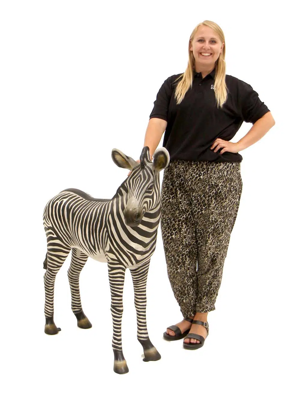 SN9653_Life-size Zebra Foal Prop_event_prop_hire_EPH_Creative_013 copy_optimised