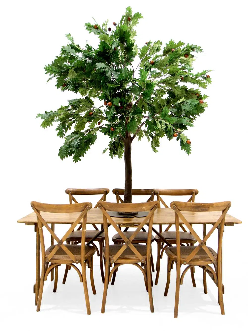 SN10117_Green Oak Table Top Tree_event_prop_hire_EPH_Creative_63 copy