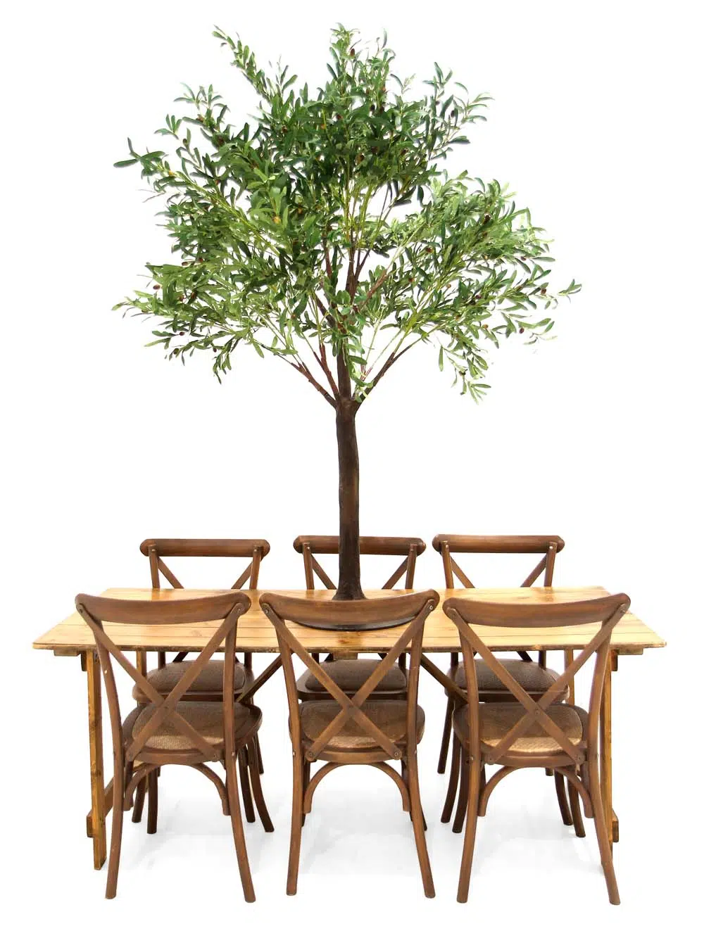 SN10119_Olive Table Top tree 1.8m_event_prop_hire_EPH_creative_106