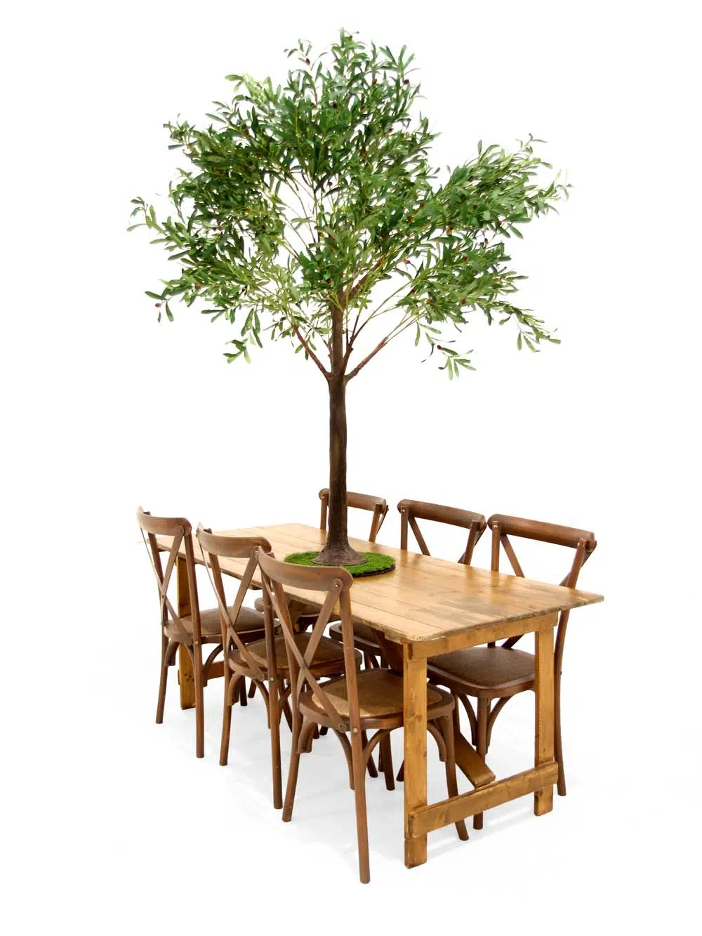 SN10119_Olive Table Top tree 1.8m_event_prop_hire_EPH_creative_112