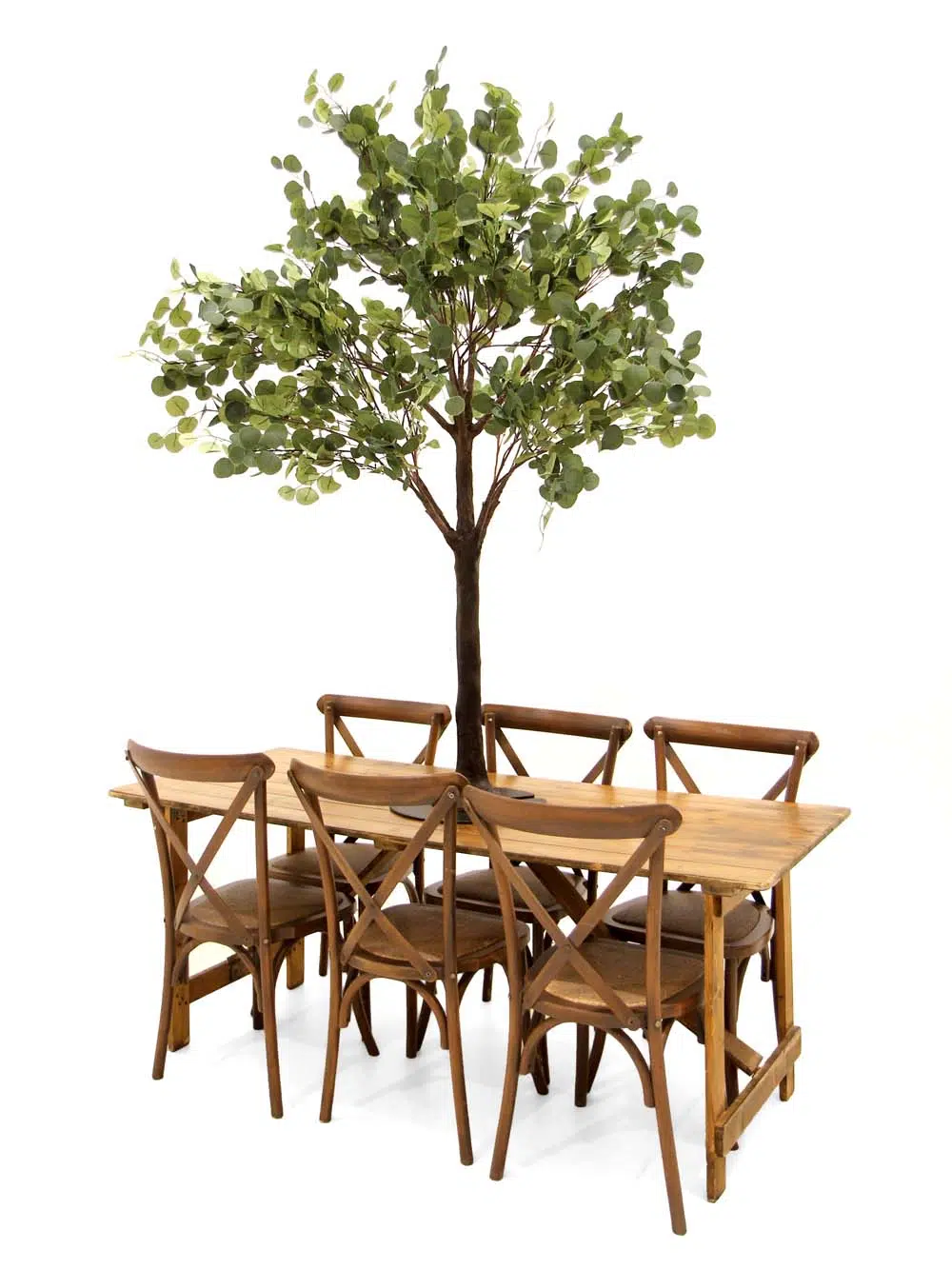 SN10120_Eucalyptus Table Top tree 1.8m_event_prop_hire_EPH_creative_129