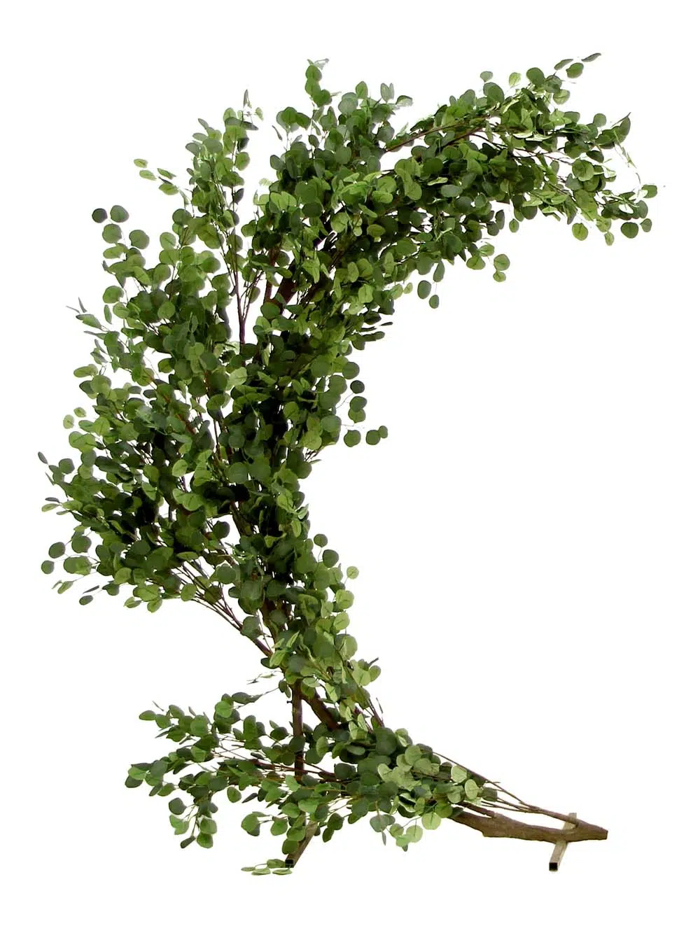 SN10337_Half Moon Gate - Eucalyptus_event_prop_hire_EPH_Creative_102_optimised