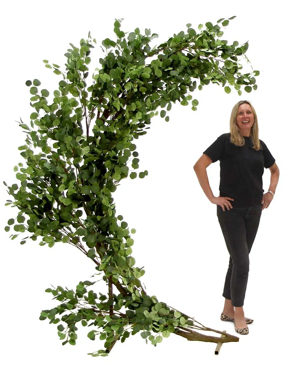 SN10337_Half Moon Gate - Eucalyptus_event_prop_hire_EPH_Creative_103_optimised