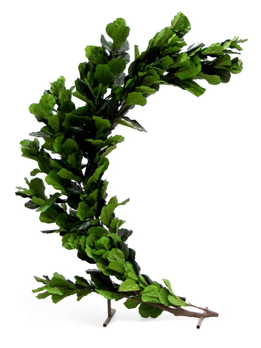 SN10340_Half Moon Gate - Fig_event_prop_hire_EPH_Creative_105_optimised
