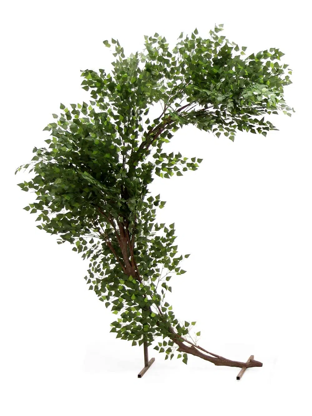 SN10342_Half Moon Gate - Brown Birch_event_prop_hire_EPH_Creative_101_optimised