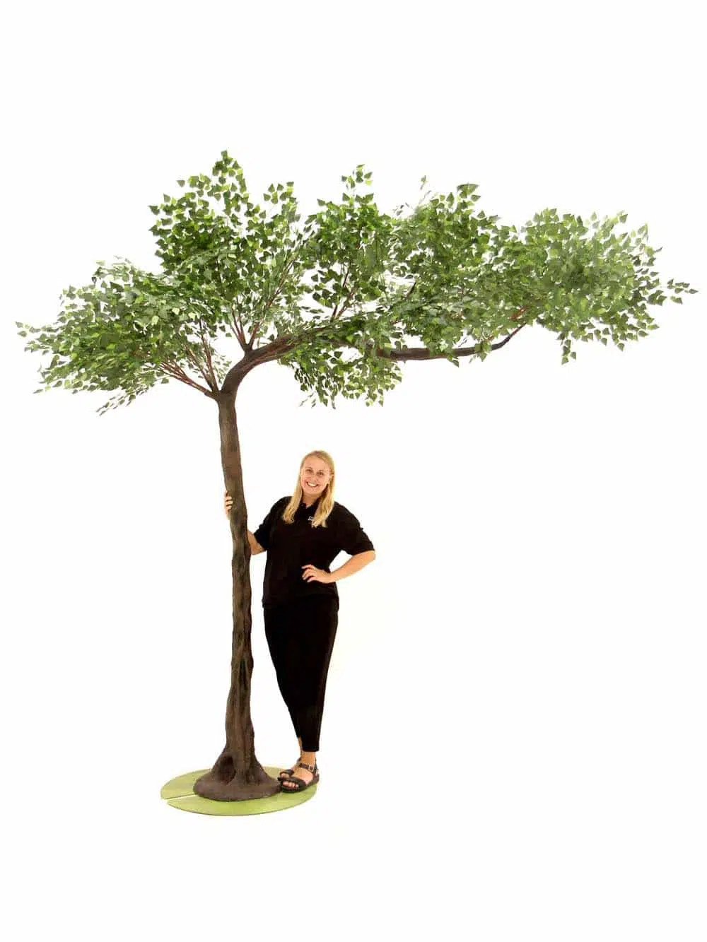 SN10129_Brown Birch Canopy Tree (3m)_event_prop_hire_EPH_Creative_86_optimised
