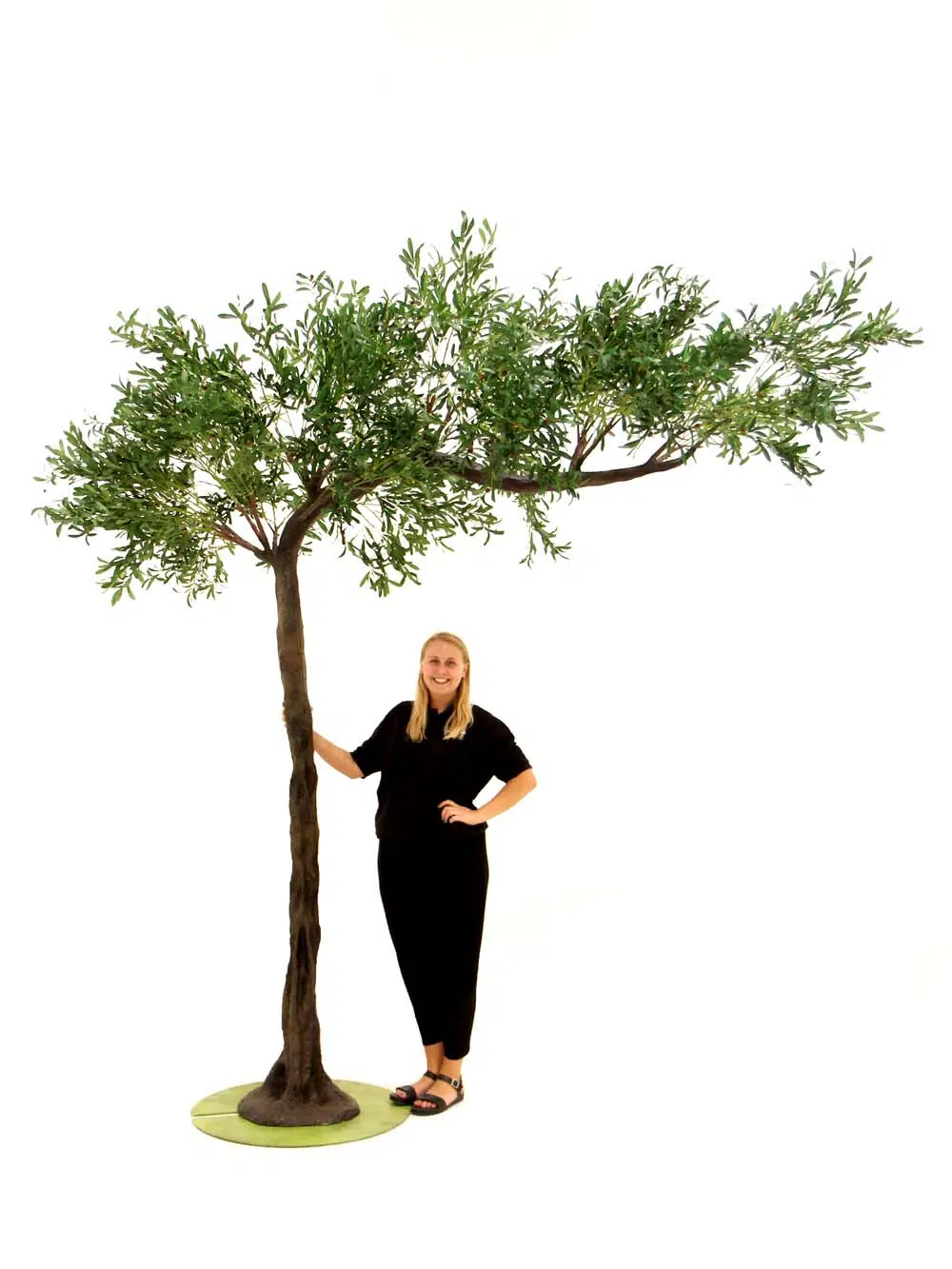 SN10131_Olive Canopy tree_event_prop_hire_EPH_creative_272_optimised