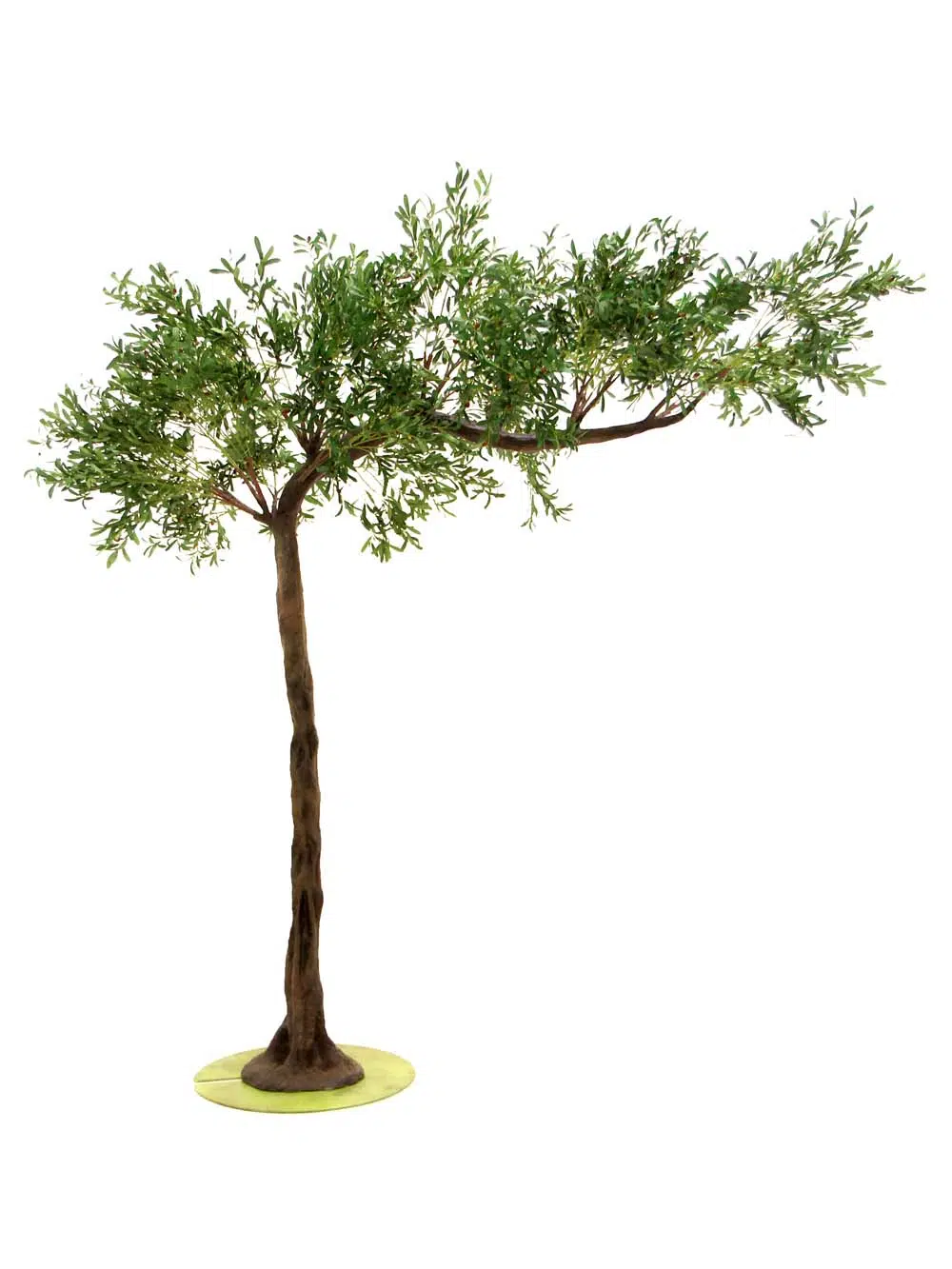 SN10131_Olive Canopy tree_event_prop_hire_EPH_creative_277_optimised