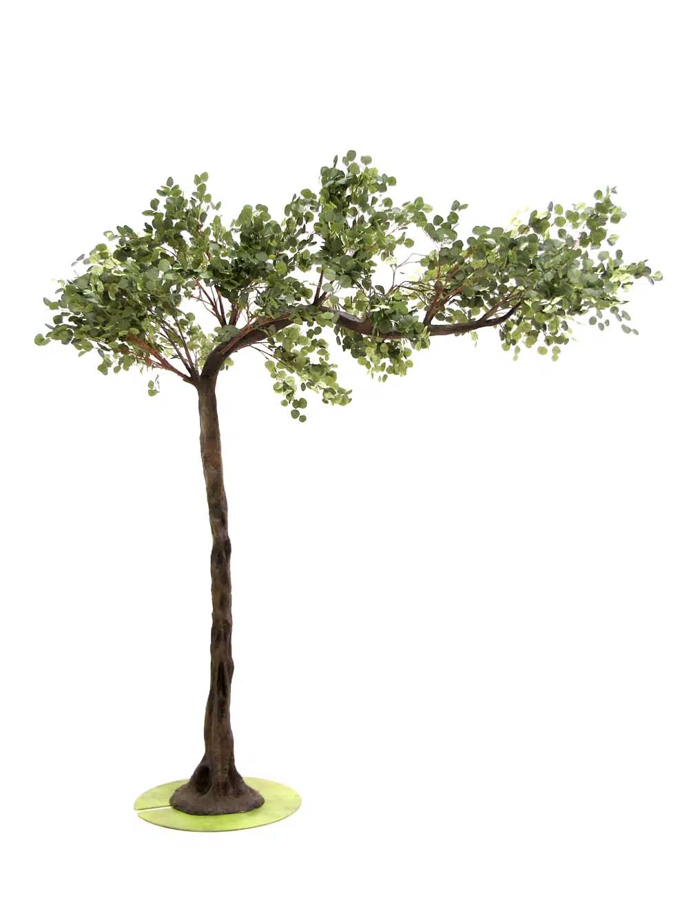 SN10132_Eucalyptus canopy tree_event_prop_hire_EPH_creative_296_optimised