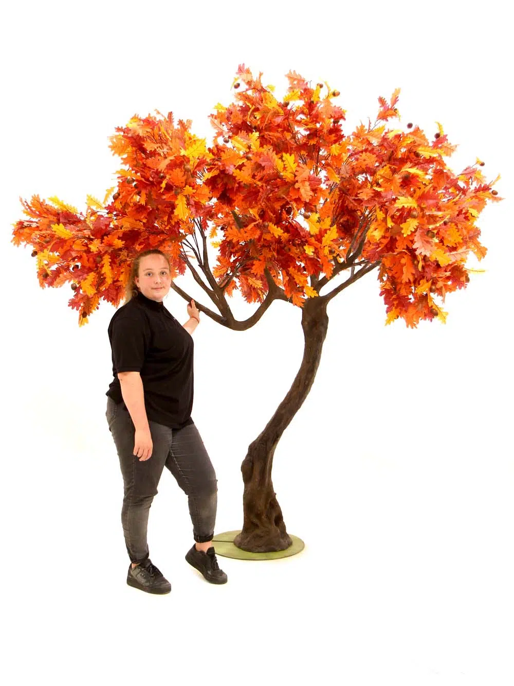 SN10140_Autumn Oak Twisted Trunk Tree_event_prop_hire_EPH_creative_416_optimised