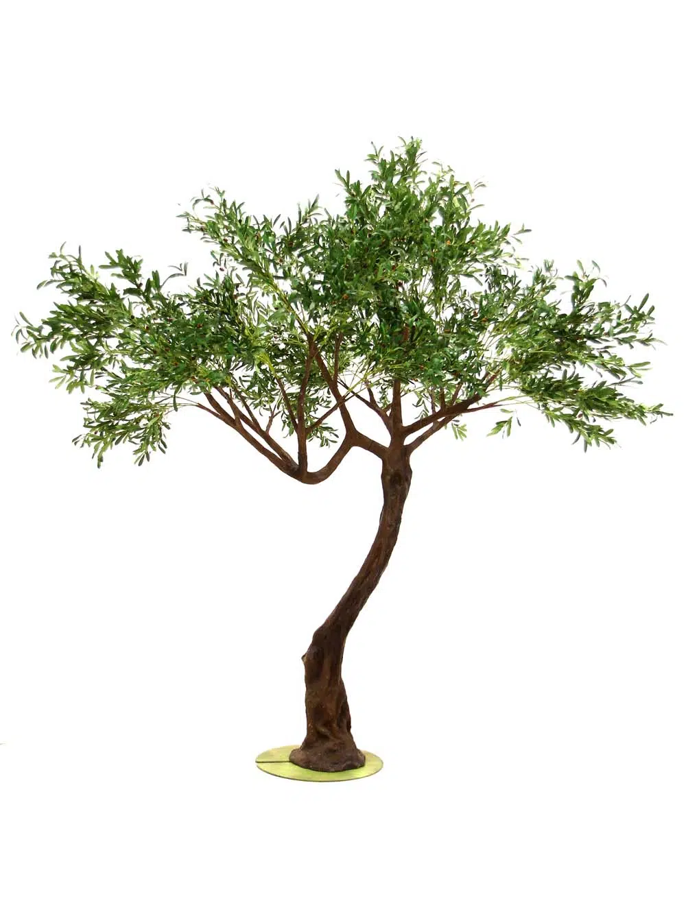SN10142_Olive Twisted Trunk Tree_event_prop_hire_EPH_creative_516_optimised