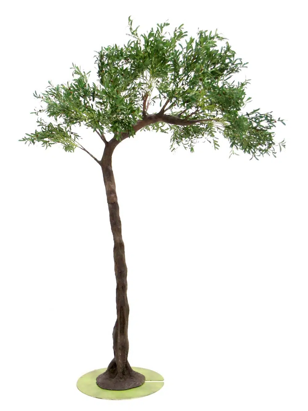 SN10147_Olive Half Arch tree_event_prop_hire_EPH_creative_312_optimised